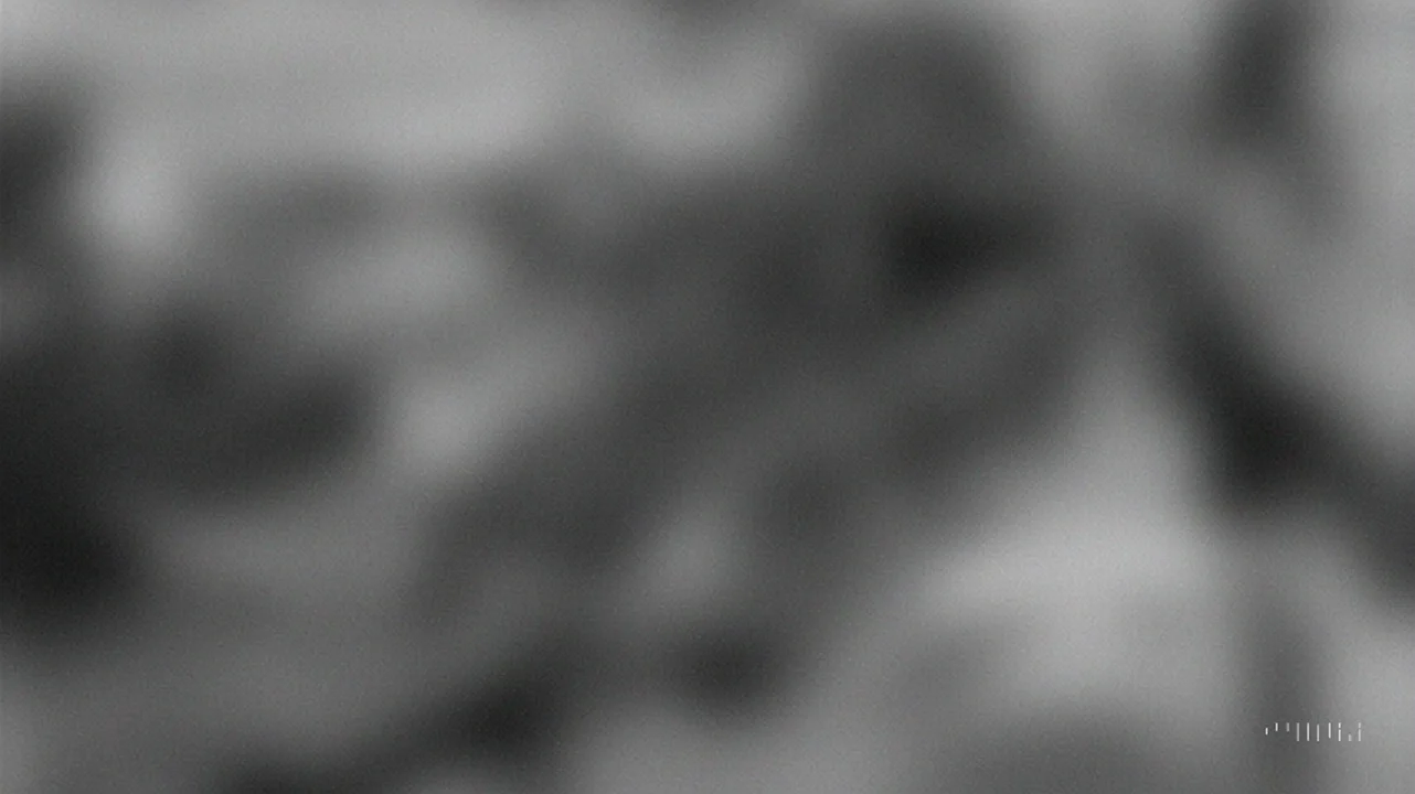 2편: 충돌의 순간, 그리고 전투의 시작 이미지